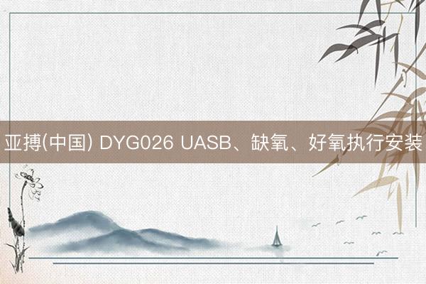 亚搏(中国) DYG026 UASB、缺氧、好氧执行安装