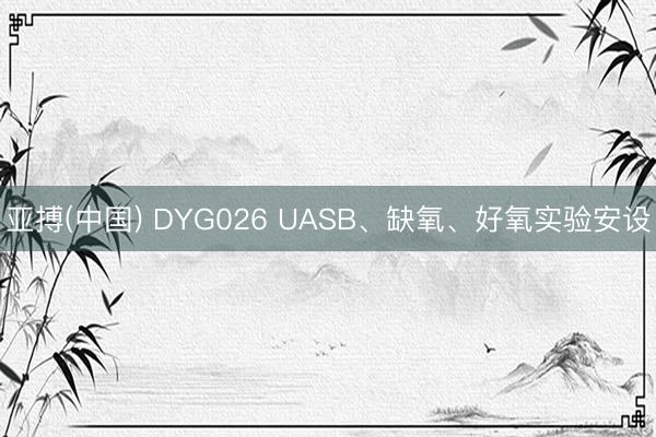 亚搏(中国) DYG026 UASB、缺氧、好氧实验安设
