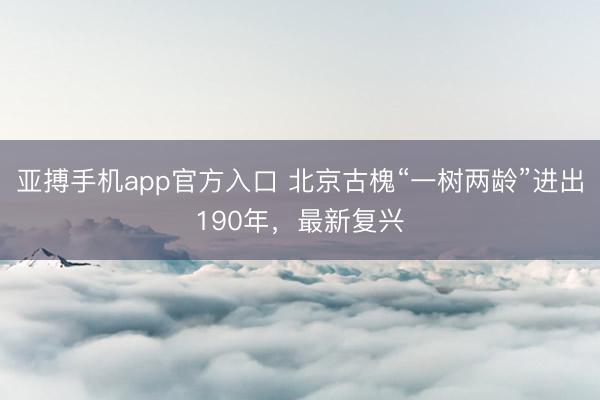 亚搏手机app官方入口 北京古槐“一树两龄”进出190年，最新复兴