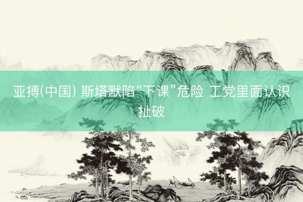 亚搏(中国) 斯塔默陷“下课”危险 工党里面认识扯破
