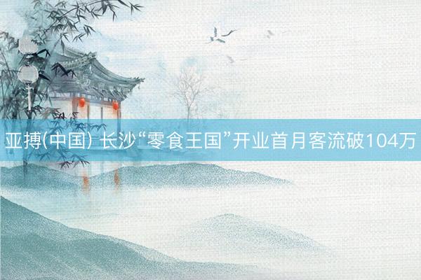 亚搏(中国) 长沙“零食王国”开业首月客流破104万