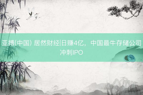 亚搏(中国) 居然财经|日赚4亿，中国最牛存储公司冲刺IPO