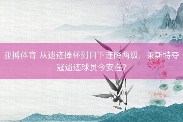 亚搏体育 从遗迹捧杯到目下连降两级，莱斯特夺冠遗迹球员今安在？