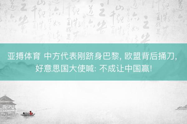 亚搏体育 中方代表刚跻身巴黎， 欧盟背后捅刀， 好意思国大使喊: 不成让中国赢!