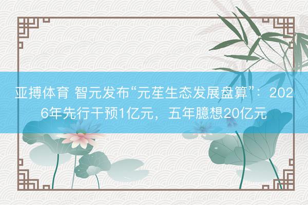 亚搏体育 智元发布“元苼生态发展盘算”：2026年先行干预1亿元，五年臆想20亿元