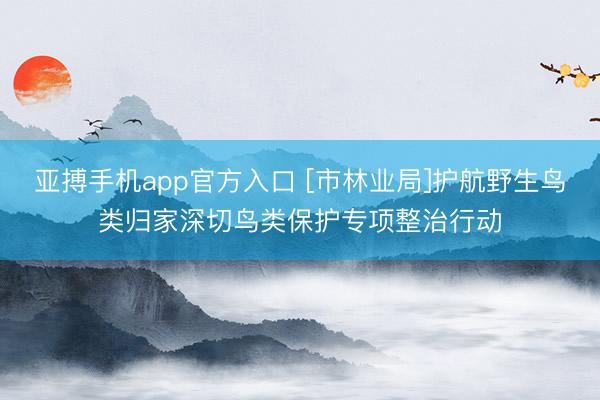 亚搏手机app官方入口 [市林业局]护航野生鸟类归家深切鸟类保护专项整治行动