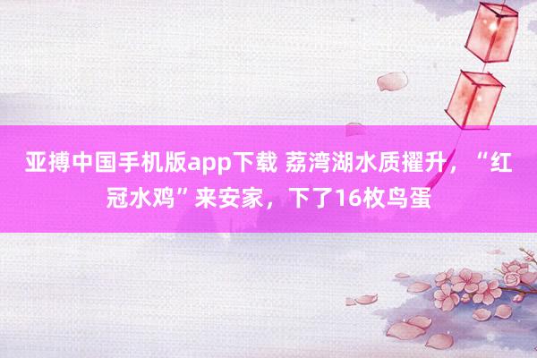 亚搏中国手机版app下载 荔湾湖水质擢升，“红冠水鸡”来安家，下了16枚鸟蛋