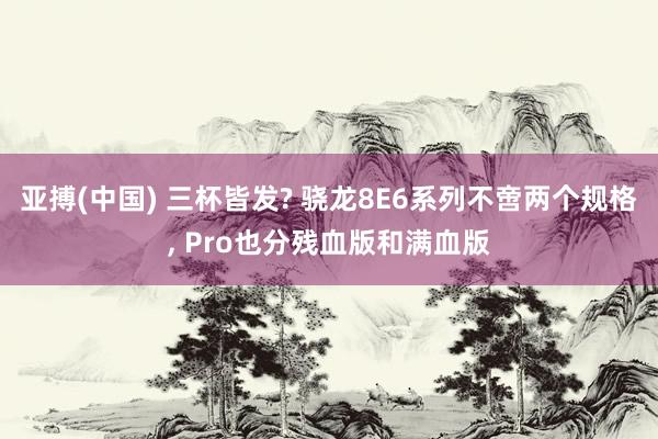 亚搏(中国) 三杯皆发? 骁龙8E6系列不啻两个规格, Pro也分残血版和满血版